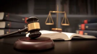 maharashtra-bombay-hc-directs-state-govt-to-ensure-ganapati-mandals-obey-norms-banning-plasterofparis-idols
